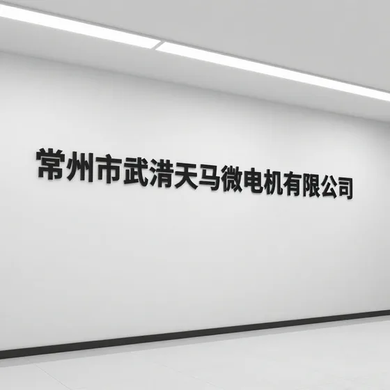 常州市武进天马微电机有限公司行业解析